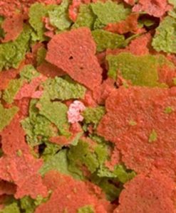 Discus Flakes