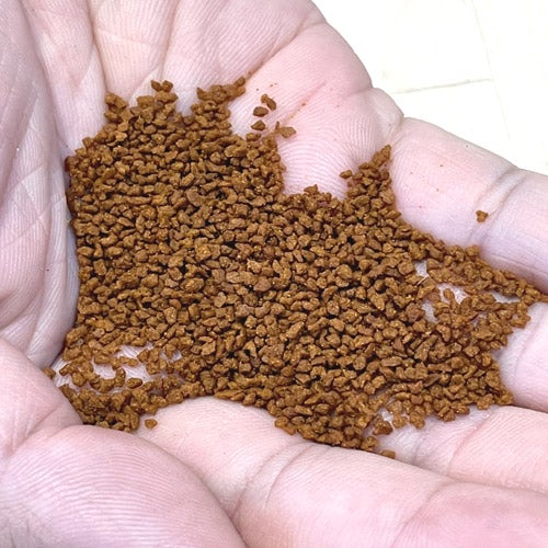 Angelfish Super GrowthSoft Granulate