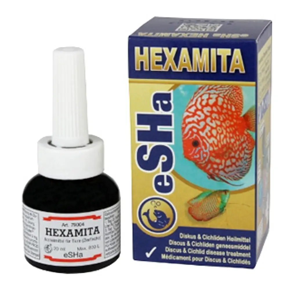 eSHA Hexamita