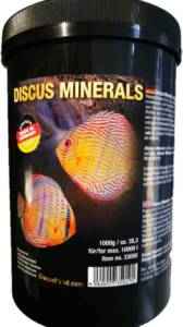 Vitaminas para Discos