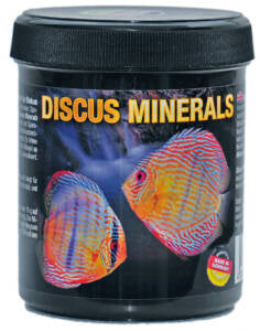 Vitaminas para Discos