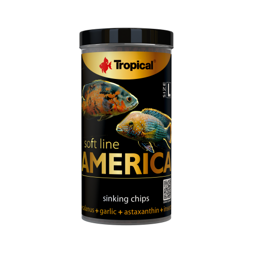 Línea suave América talla L